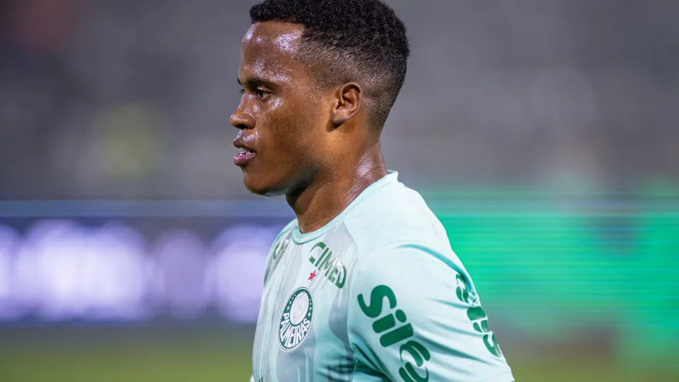 Palmeiras derrota Fluminense e mantém liderança do Brasileiro